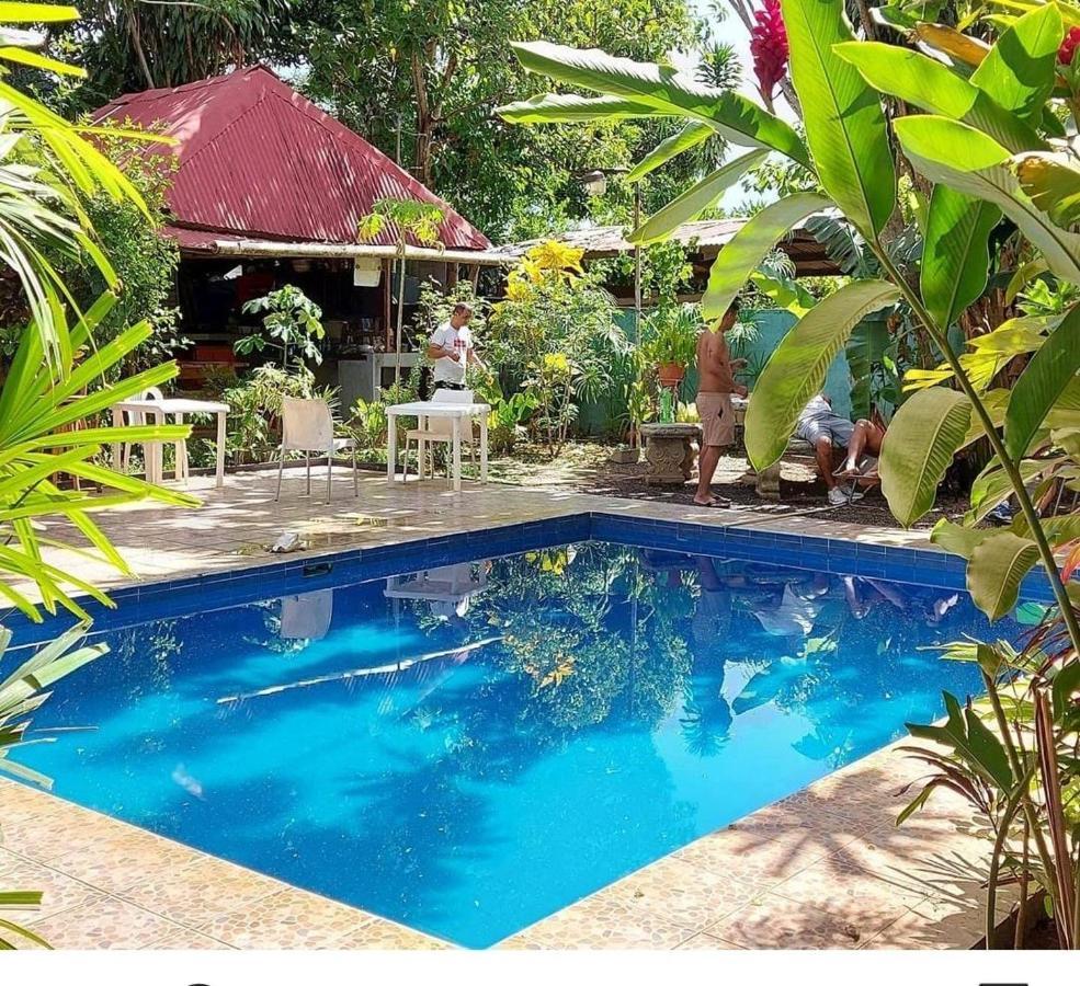 Bambu Hostel 다비드 외부 사진