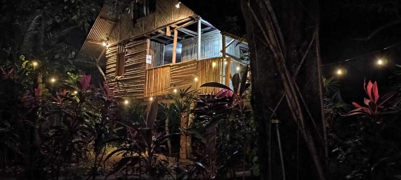 Bambu Hostel 다비드 외부 사진