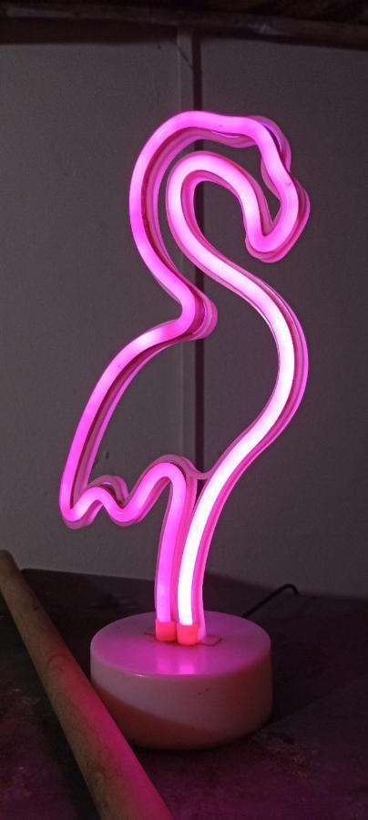Bambu Hostel 다비드 외부 사진