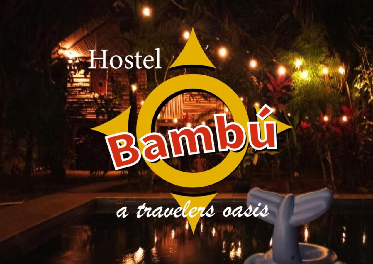 Bambu Hostel 다비드 외부 사진